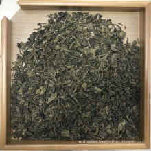 Gunpowder green tea 9501